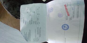 купить бензиновый двигатель на мотоблок: Продаю контрактный двигатель с Nissan Premera 2003 года выпуска — 3