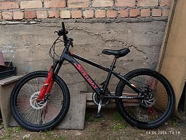 зимная обувь: Горный велосипед, Skillmax, Рама M (156 - 178 см), Сталь, Б/у — 1