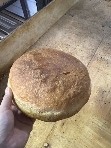 контейнер на рынке дордой: Срочно ‼️ даяр бизнес сатылат пикарния — 1