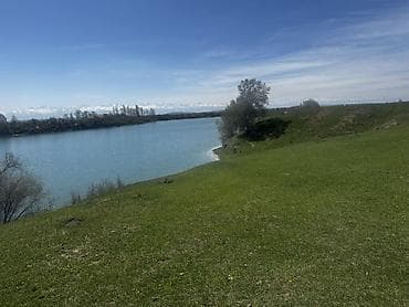 арка дома фото: 25 соток, Красная книга — 2