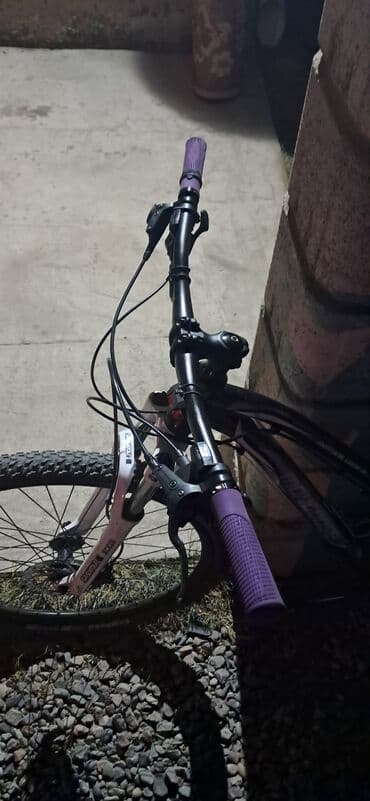 моноколесо сколько стоит: Горный велосипед, Алюминий — 2