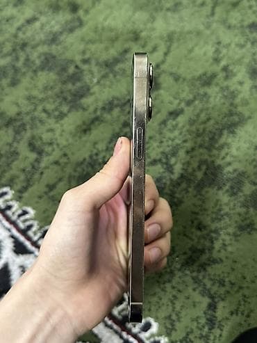 core i7: IPhone 13 Pro Max, Серебристый — 9