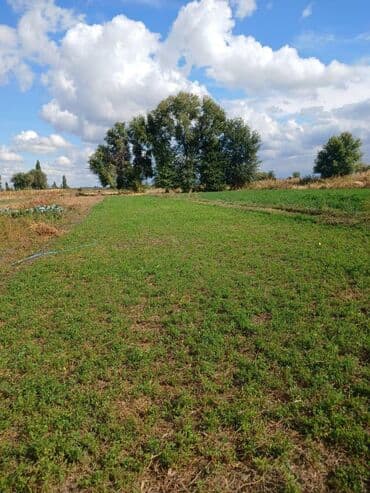 дом новопавловке: Дом, 120 м², 5 комнат, Собственник, Евроремонт — 4