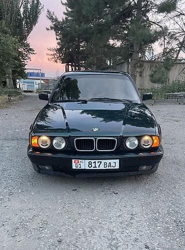 BMW 5 series: 1994 г., 2.5 л, Механика, Седан