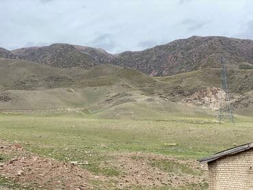 Сельское хозяйство: Мал кайтарганга чабан керек жакшы шарттары менен тамак ашы жакшы — 1