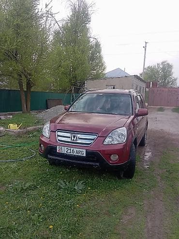 red cell: Honda CR-V: 2005 г., Автомат, Бензин, Кроссовер — 2