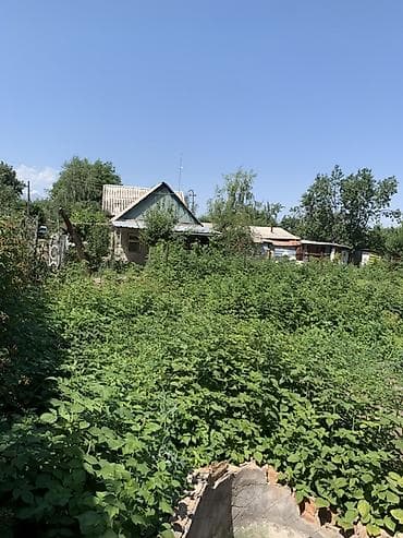 Дача/садовый участок с домиком и хозпостройками в г. Кара-Балта, дача — 3