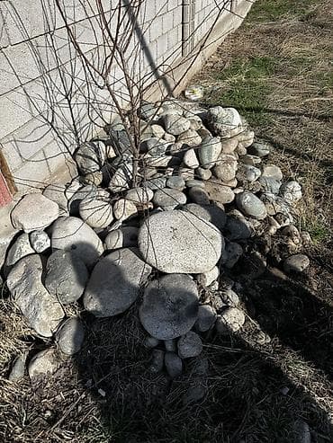 Мебель: Натуральные речные камни разного размера - Форма: округлые, окатанные — 1