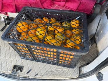 оптом мандарины: Мандарины — 2