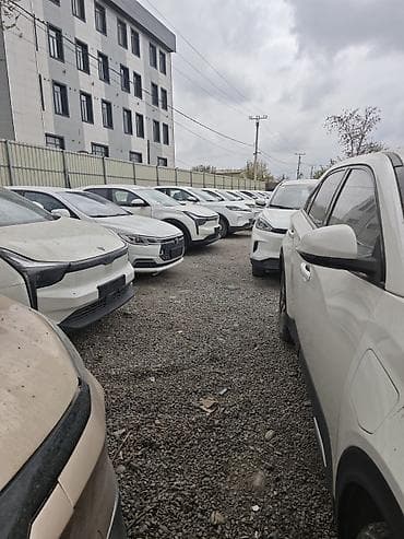 круговой обзор: Zeekr : | 2020 г. Кроссовер — 8