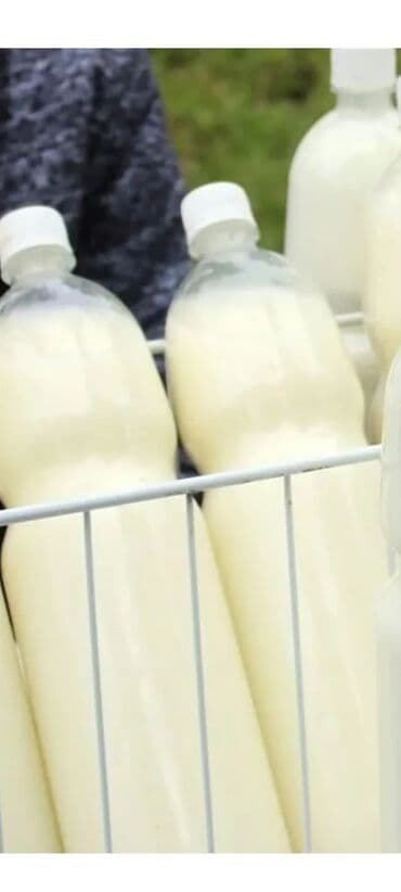 Кымыз at lalafo.kg Кымыз