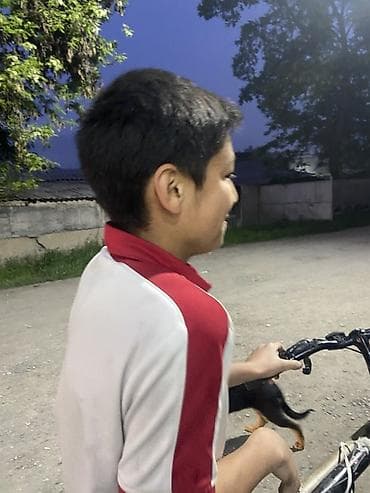 зимний комуфляж: Рубашка, цвет - Белый, Новый — 2