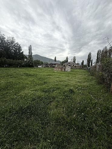 5 соток, Красная книга