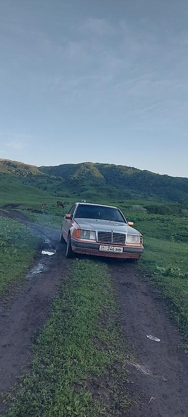 john dere: Mercedes-Benz W124: 1990 г., 2.9 л, Механика, Дизель, Седан — 3