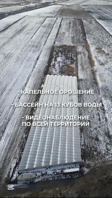 Кыймылсыз мүлк: Күнөскана, 135 соток, Иштебеген, Жабдуулары менен — 6