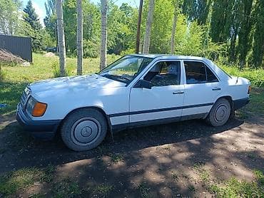 byd leopard 8: Mercedes-Benz W124: 1986 г., 2.3 л, Механика, Бензин, Седан — 3