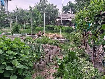 прод дом: Продается жилой дом по адресу: г. Кара-Балта, ул. Спортивная, 71. Цена — 4