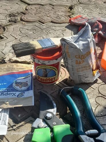 для зрения: Обрезка деревьев!!! Сезонная обрезка плодовых деревьев!!! Зима — 9