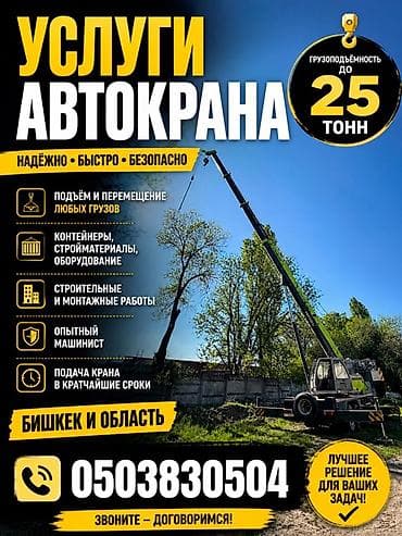 Услуги автокрана: Стрела 41 м, 25 т — 1