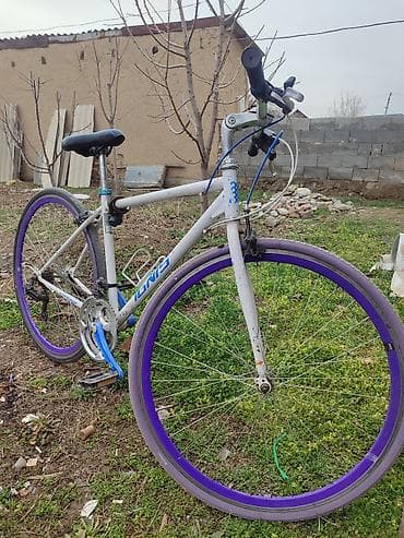 велосипед look: Городской велосипед, Рама L (172 - 185 см), Б/у — 2