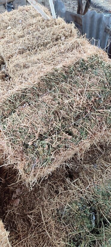 ары ящик: Тюки первый курс, сухие,зелёные и с молодого клевера. 400с за тюк без — 4