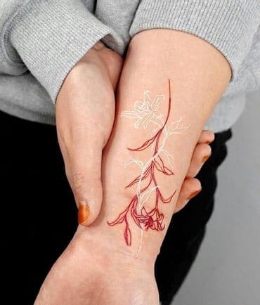 наращивание ресниц выезд на дом: Цветные татуировки, Черно-белые татуировки, Коррекция татуировок | Консультация, С выездом на дом — 8