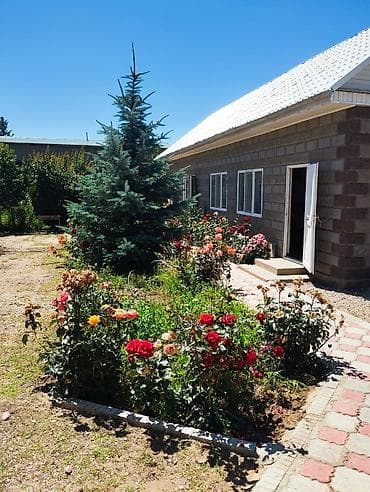 батанический сад: Гостевой комплекс с 2-3 х местными номерами со всеми условиями для — 3