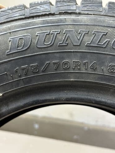 купить диски штампованные: Шины 175 / 70 / R 14, Зима, Комплект, Dunlop — 5