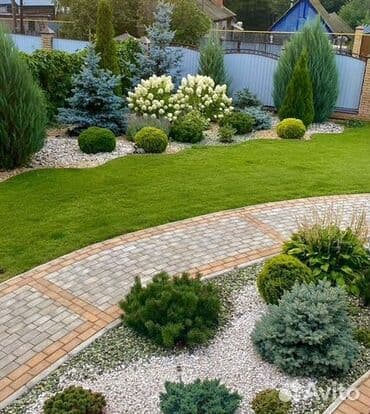 флористика дизайн: Оформление сада; ландшафтный дизайн; хвойная композиция в саду; секрет — 1