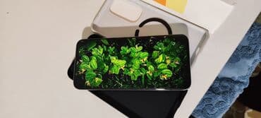 amazon kindle бишкек: Redmi, Redmi 8 Pro, Б/у, 256 ГБ, цвет - Белый, 2 SIM — 13