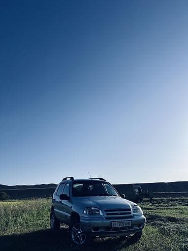 торпеда на ниву: Chevrolet Niva: 2008 г., 1.7 л, Механика, Бензин, Внедорожник — 8