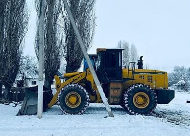 Погрузчик, LiuGong, 2010 г., Колесный, Ковшовый