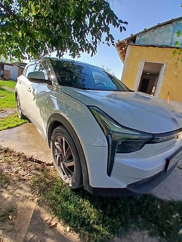 BAW: BAW : 2022 г., Автомат, Электромобиль, Кроссовер — 4