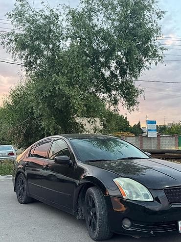 обмен на нексию: Nissan Maxima: 2003 г., 3.5 л, Автомат, Газ, Седан — 3