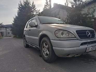 Mercedes-Benz M-Class: 2001 г., 3.2 л, Автомат, Газ, Внедорожник