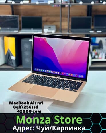 mac cleansing цена бишкек: Apple — 1