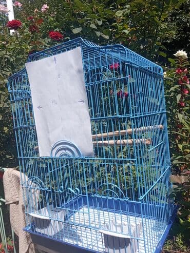ульи пчелы: Клетка для попугаев, большая 
Цена 5000 
торг уместен — 2