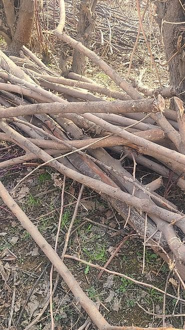 куплю лиса: Дрова — 3