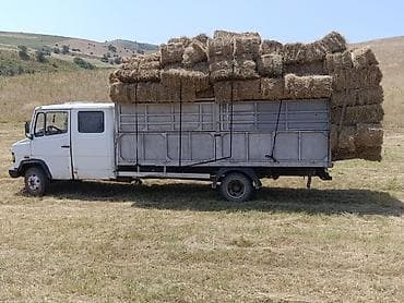 Грузовик, Mercedes-Benz, Дубль, 4 т, Б/у