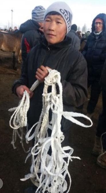 жугон уздечка: Конская недоуздок-уздечка из прочного белого шнура/стропы. - — 1