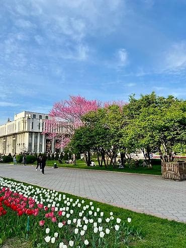 elegance stroy: Сдается чистая и уютная однокомнатная квартира посуточно в центре — 1