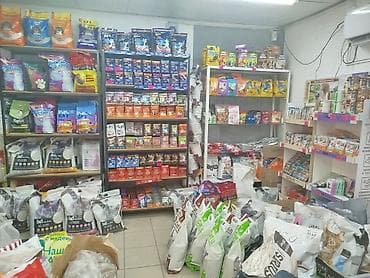 толка алмашам: Продаю готовый бизнес Зоомагазин «ЛАПКА KG» магазин находится в — 2