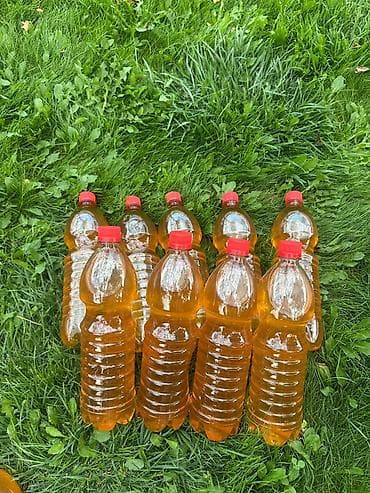 Высшее качество мёда 🍯🐝 Токтогульское чистое горное 🏔️🌲 За 1 литр — 2