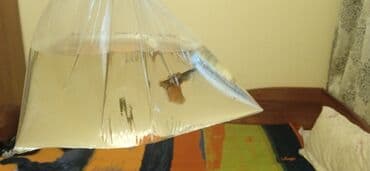 корм для форел: Гуппи одна стоит 150 - Аквариумные живородящие рыбки гуппи (Poecilia — 4