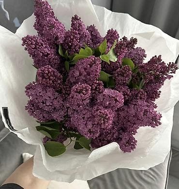 корзина для цветов: Сиреневые композиции и букеты - Пышные соцветия свежесрезанной — 2