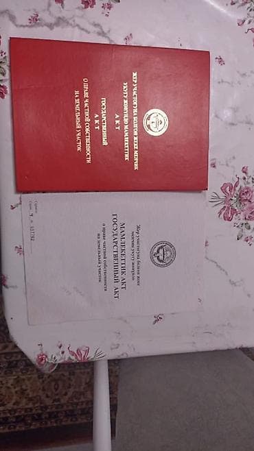 павлония кыргызстан: 30 соток, Для сельского хозяйства, Красная книга, Тех паспорт, Договор купли-продажи — 4