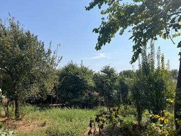 садовый дом: 🏡 Пригородный конушунан 4 соток участок сатылат! ✅ Газ, канализация — 6