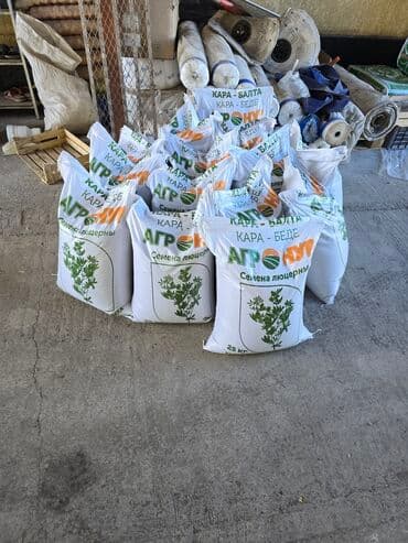 печь для отопления дома бишкек: Уруктар тоют өсүмдүктөрүнүн: Эспарцет, Өзү алып кетүү, Акылуу жеткирүү — 2