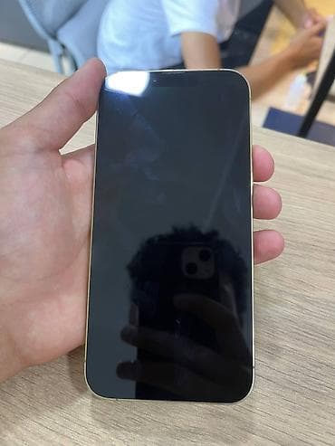 jack e4: IPhone 13 Pro Max, Б/у, 256 ГБ, Золотой, Чехол, 100 % — 7