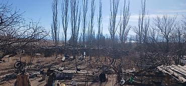 Комнаты: Ферма КРС, 50 соток, Не действующий, Частично с оборудованием, Электричество, Отопление, Холодная вода — 10